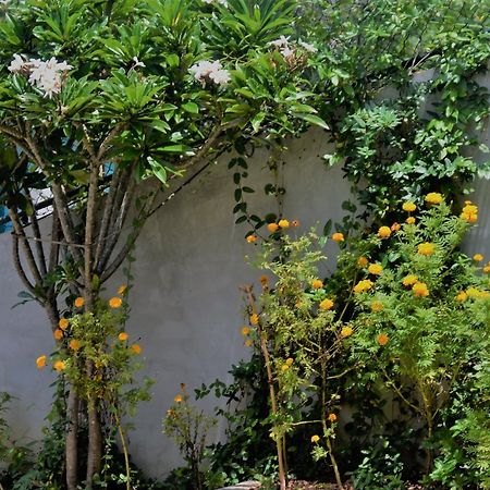 Bed and Breakfast Bellaxy Ceylon Екстер'єр фото
